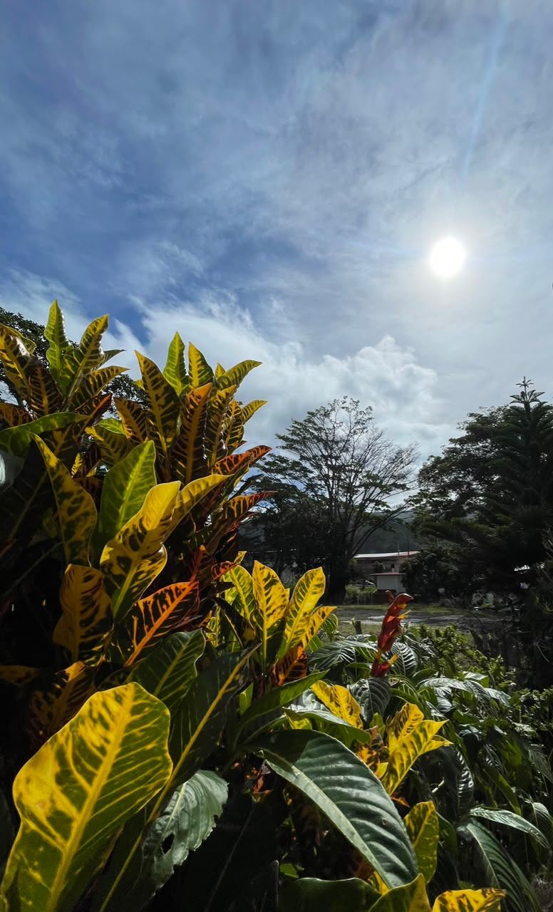 Jardín y cielo despejado en Boquete