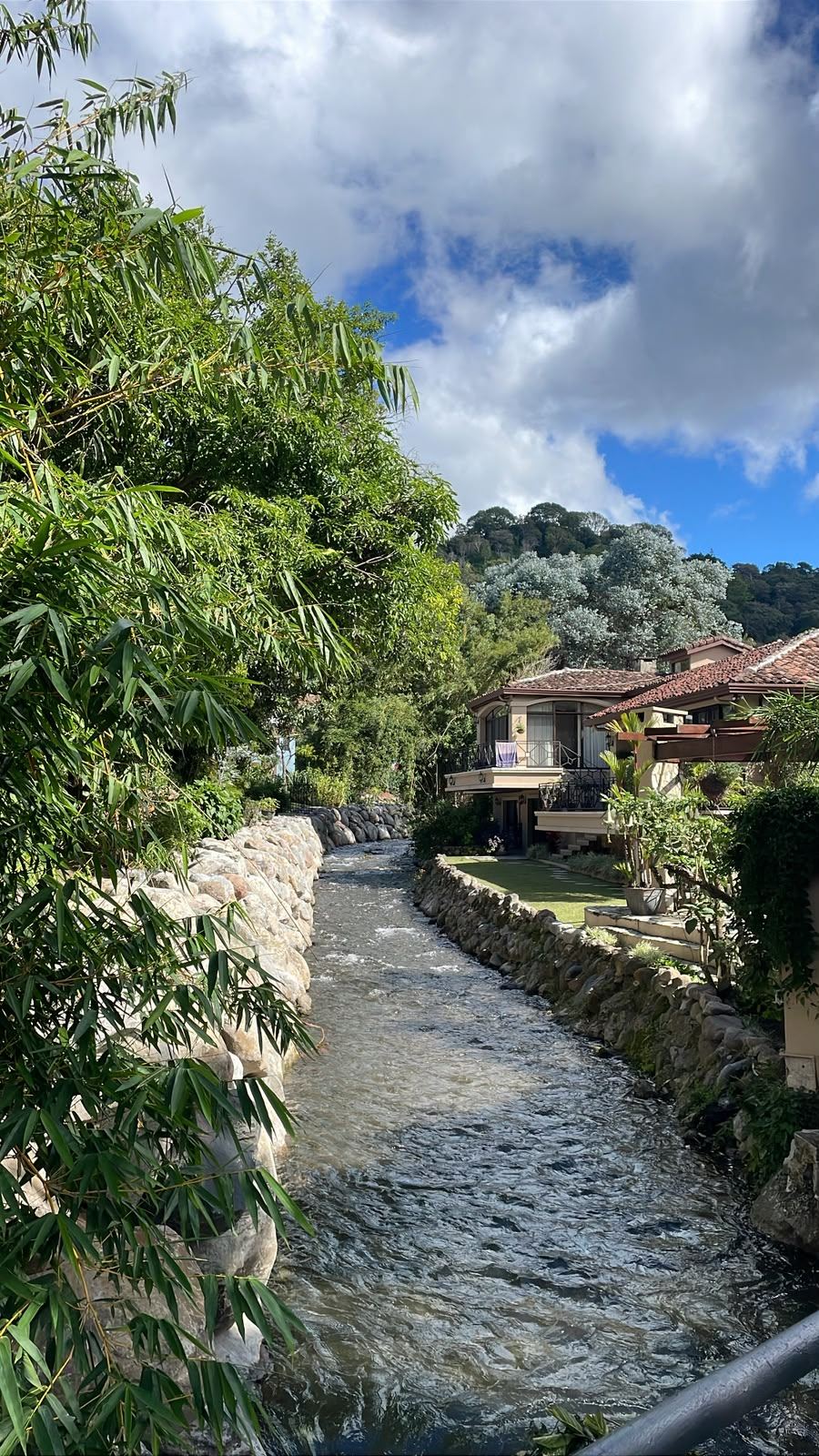 Jardín tropical en los alrededores de Boquete